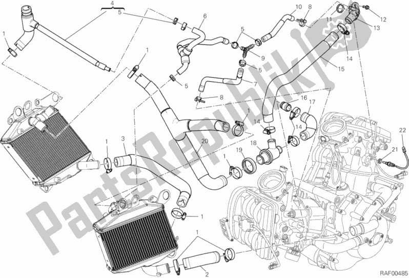All parts for the Cooling Circuit of the Ducati Diavel Cromo Brasil 1200 2013